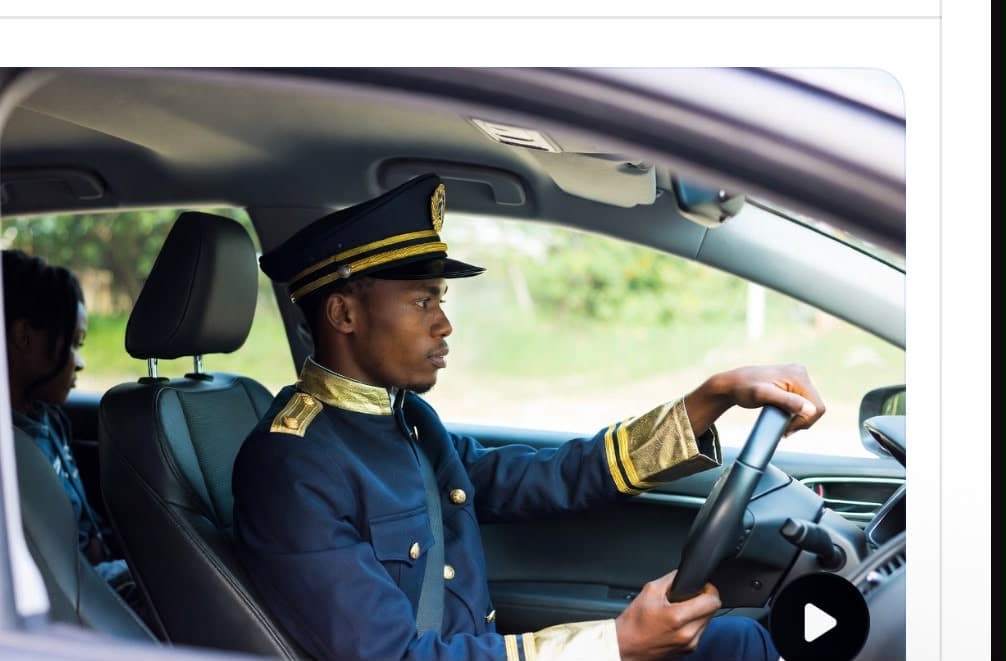 Professional driver